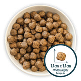 Burns Adult Sensitive Grain Free Duck & Potato 2kg