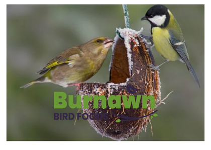 Wild Bird