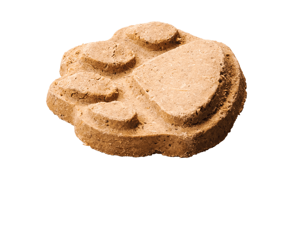 Cheesy bites dog treats hot sale