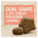 Beta Sensitive Dog Food - Salmon