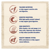 Beta Sensitive Dog Food - Salmon