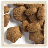 Beta Sensitive Dog Food - Salmon