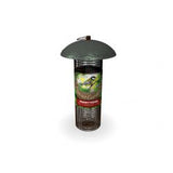 Peckish Secret Garden Feeders