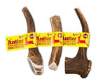 Antos Antler