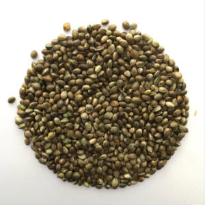 Hemp Seed