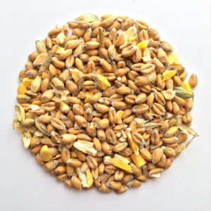 Gibb of Galston - Mixed Poultry Grains 20kg